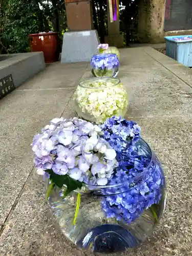 滑川神社 - 仕事と子どもの守り神の景色