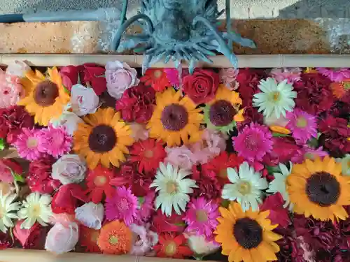 安倍晴明神社（阿倍王子神社境外末社）(大阪府)