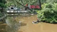 平塚八幡宮の庭園