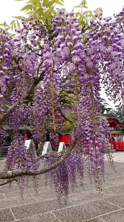 安住神社の自然
