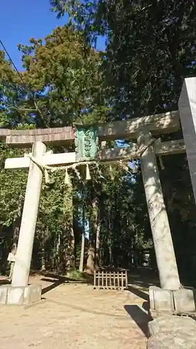 楯縫神社の鳥居