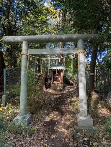 堀之内貝塚神社（駒形神祠）(千葉県)