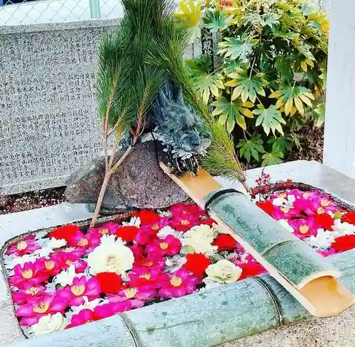 姫嶋神社の手水