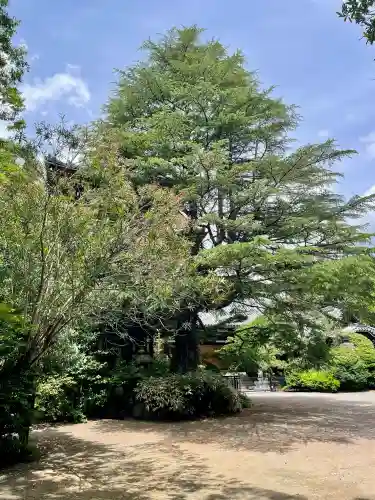 東禅寺(東京都)