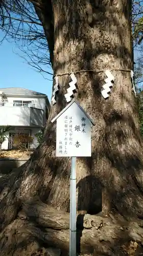 五社神社の庭園