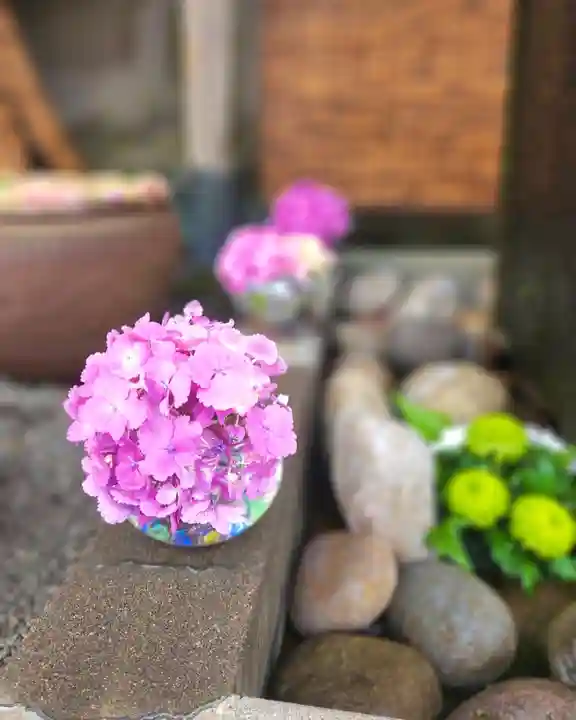 上尾御嶽神社の手水舎