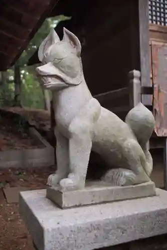 堀口天満天神社の狛犬