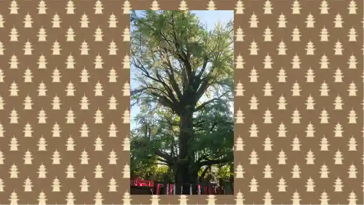 鬼子母神堂 (法明寺)(東京都)