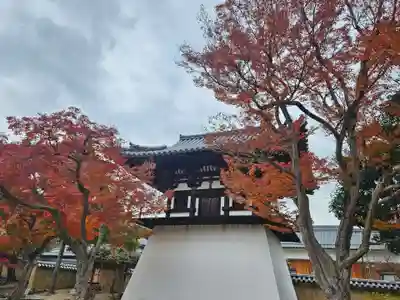 新薬師寺(奈良県)