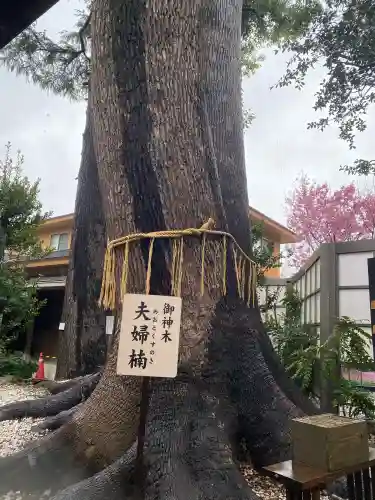 鳩ヶ谷氷川神社の{uncategorized: "未分類", other: "その他", undefined: "問題あり", building: "その他建物", grave: "お墓", sacred_gate: "鳥居", guardian: "狛犬", statue: "像", buddha: "仏像", history: "歴史", nature: "自然", garden: "庭園", animal: "動物", pagoda: "塔", temizu: "手水舎", mountain_gate: "山門・神門", sanctuary: "本殿・本堂", subordinate: "末社・摂社", art: "芸術", scenery: "景色", jizo: "地蔵", ema: "絵馬", goshuin: "御朱印", omikuji: "おみくじ", items: "授与品その他", amulet: "お守り", goshuincho: "御朱印帳", eats: "食事", festival: "お祭り", votive_dance: "神楽", shichigosan: "七五三参", wedding: "結婚式", experience: "体験その他", initially: "初詣", around: "周辺", anti_infection: "感染症対策"}