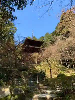 金剛輪寺のその他建物
