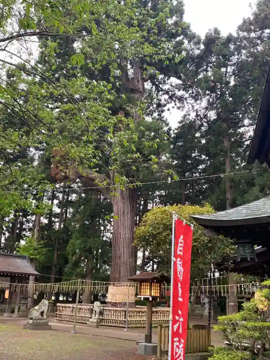 日高神社(岩手県)
