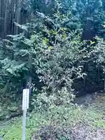 三之倉神社(岐阜県)