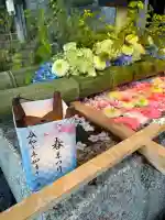 白山神社の{uncategorized: "未分類", other: "その他", undefined: "問題あり", building: "その他建物", grave: "お墓", sacred_gate: "鳥居", guardian: "狛犬", statue: "像", buddha: "仏像", history: "歴史", nature: "自然", garden: "庭園", animal: "動物", pagoda: "塔", temizu: "手水舎", mountain_gate: "山門・神門", sanctuary: "本殿・本堂", subordinate: "末社・摂社", art: "芸術", scenery: "景色", jizo: "地蔵", ema: "絵馬", goshuin: "御朱印", omikuji: "おみくじ", items: "授与品その他", amulet: "お守り", goshuincho: "御朱印帳", eats: "食事", festival: "お祭り", votive_dance: "神楽", shichigosan: "七五三参", wedding: "結婚式", experience: "体験その他", initially: "初詣", around: "周辺", anti_infection: "感染症対策"}