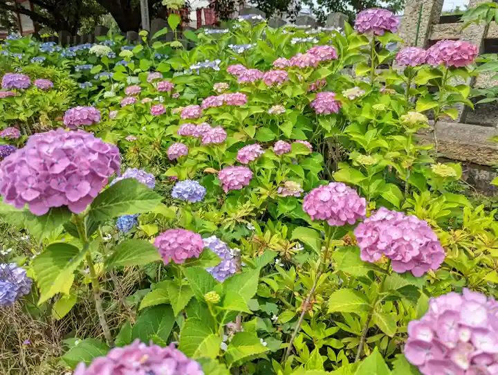 六孫王神社(京都府)