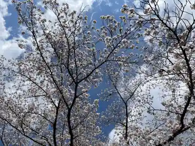 宝菩提院願徳寺(京都府)