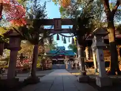 多摩川浅間神社の鳥居