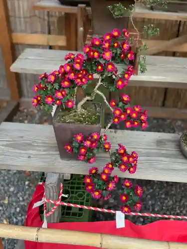 諏訪大社下社秋宮(長野県)