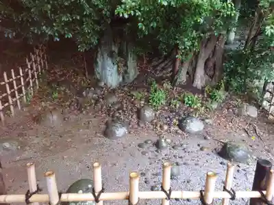 飽波神社(静岡県)