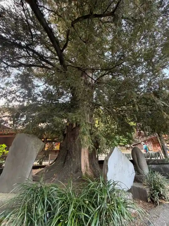 瀬戸神社の{uncategorized: "未分類", other: "その他", undefined: "問題あり", building: "その他建物", grave: "お墓", sacred_gate: "鳥居", guardian: "狛犬", statue: "像", buddha: "仏像", history: "歴史", nature: "自然", garden: "庭園", animal: "動物", pagoda: "塔", temizu: "手水舎", mountain_gate: "山門・神門", sanctuary: "本殿・本堂", subordinate: "末社・摂社", art: "芸術", scenery: "景色", jizo: "地蔵", ema: "絵馬", goshuin: "御朱印", omikuji: "おみくじ", items: "授与品その他", amulet: "お守り", goshuincho: "御朱印帳", eats: "食事", festival: "お祭り", votive_dance: "神楽", shichigosan: "七五三参", wedding: "結婚式", experience: "体験その他", initially: "初詣", around: "周辺", anti_infection: "感染症対策"}