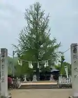 賀羅加波神社(広島県)