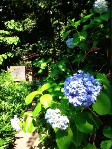 渋谷氷川神社(東京都)