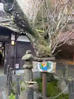 鞍馬寺のその他建物