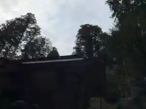 大宮温泉神社(栃木県)(2022年03月09日(水) 08時17分12秒投稿)