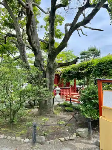 旗上弁財天社の自然