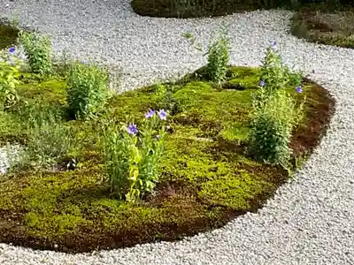 廬山寺(廬山天台講寺)(京都府)