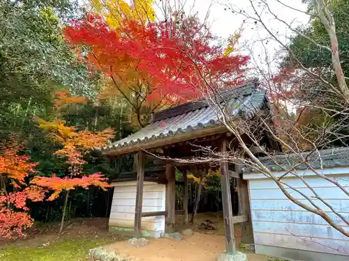 円光寺の山門