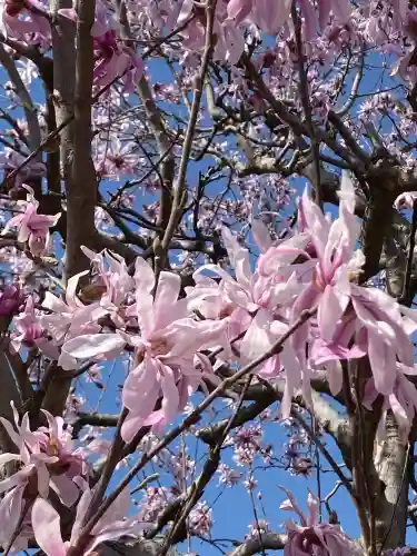 白鳥神社(長野県)