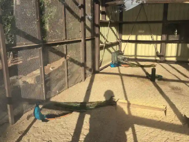 岩槻久伊豆神社の{uncategorized: "未分類", other: "その他", undefined: "問題あり", building: "その他建物", grave: "お墓", sacred_gate: "鳥居", guardian: "狛犬", statue: "像", buddha: "仏像", history: "歴史", nature: "自然", garden: "庭園", animal: "動物", pagoda: "塔", temizu: "手水舎", mountain_gate: "山門・神門", sanctuary: "本殿・本堂", subordinate: "末社・摂社", art: "芸術", scenery: "景色", jizo: "地蔵", ema: "絵馬", goshuin: "御朱印", omikuji: "おみくじ", items: "授与品その他", amulet: "お守り", goshuincho: "御朱印帳", eats: "食事", festival: "お祭り", votive_dance: "神楽", shichigosan: "七五三参", wedding: "結婚式", experience: "体験その他", initially: "初詣", around: "周辺", anti_infection: "感染症対策"}