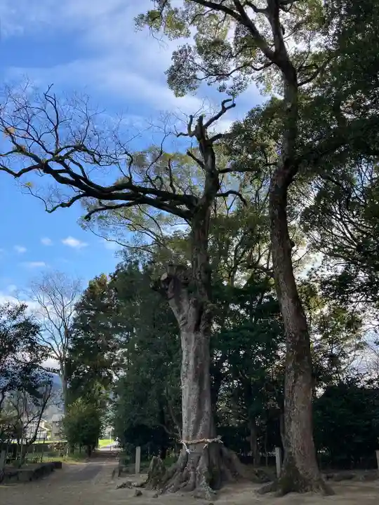 浮嶋神社(愛媛県)