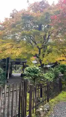 常照皇寺(京都府)