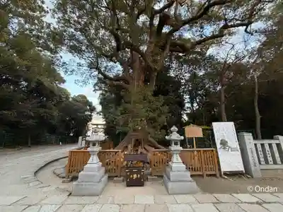 和泉國一之宮 大鳥大社(大阪府)