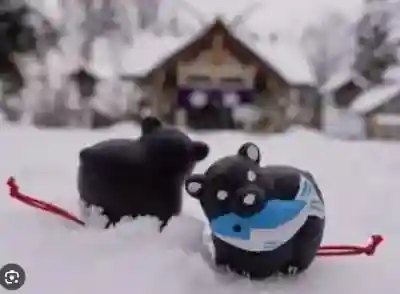 永山神社のおみくじ