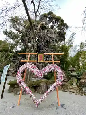 伊豆山神社のおみくじ