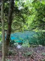 丸池神社(山形県)