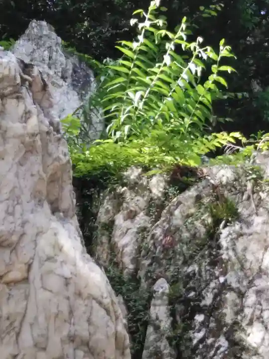 鹿島大神宮の自然
