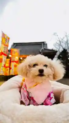 龍ケ崎八坂神社(茨城県)