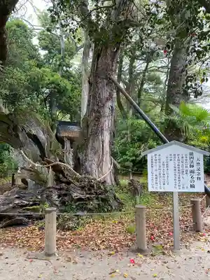 大山祇神社(愛媛県)