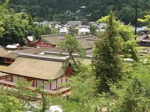 豊国神社 の景色