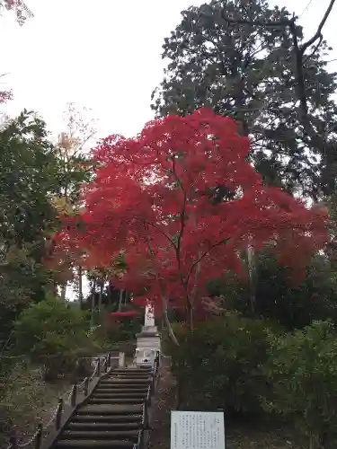 能仁寺(埼玉県)