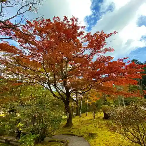 古峯神社の景色