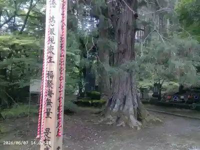 法雲寺(埼玉県)