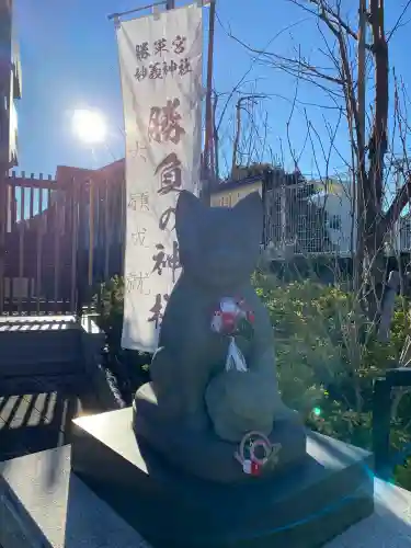 駒込妙義神社の{uncategorized: "未分類", other: "その他", undefined: "問題あり", building: "その他建物", grave: "お墓", sacred_gate: "鳥居", guardian: "狛犬", statue: "像", buddha: "仏像", history: "歴史", nature: "自然", garden: "庭園", animal: "動物", pagoda: "塔", temizu: "手水舎", mountain_gate: "山門・神門", sanctuary: "本殿・本堂", subordinate: "末社・摂社", art: "芸術", scenery: "景色", jizo: "地蔵", ema: "絵馬", goshuin: "御朱印", omikuji: "おみくじ", items: "授与品その他", amulet: "お守り", goshuincho: "御朱印帳", eats: "食事", festival: "お祭り", votive_dance: "神楽", shichigosan: "七五三参", wedding: "結婚式", experience: "体験その他", initially: "初詣", around: "周辺", anti_infection: "感染症対策"}