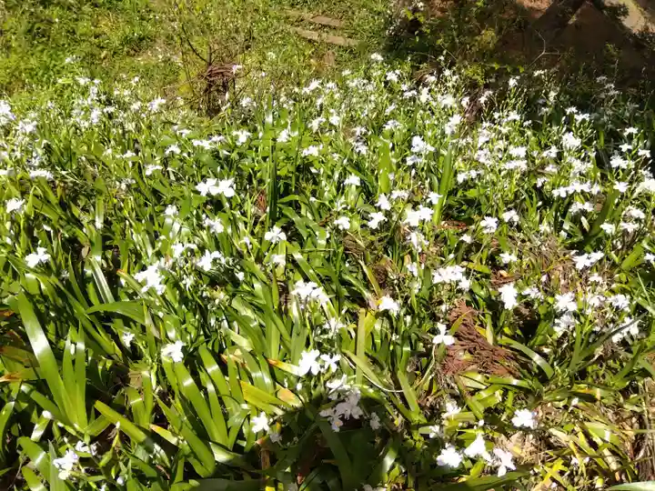角原神社(福井県)