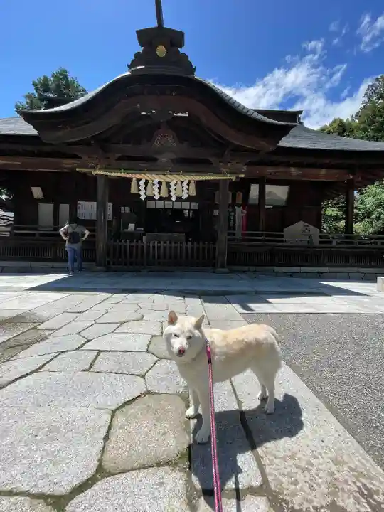 甲斐國一宮 浅間神社(山梨県)