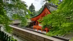 出雲大神宮の本殿